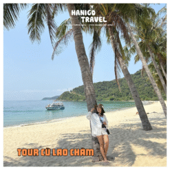 Tour Cù Lao Chàm đón tại Cảng Cửa Đại
