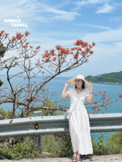 Alternative view of Tour Cù Lao Chàm đón tại Cảng Cửa Đại