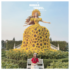 Combo Vé Bà Nà Hills + Buffet Trưa